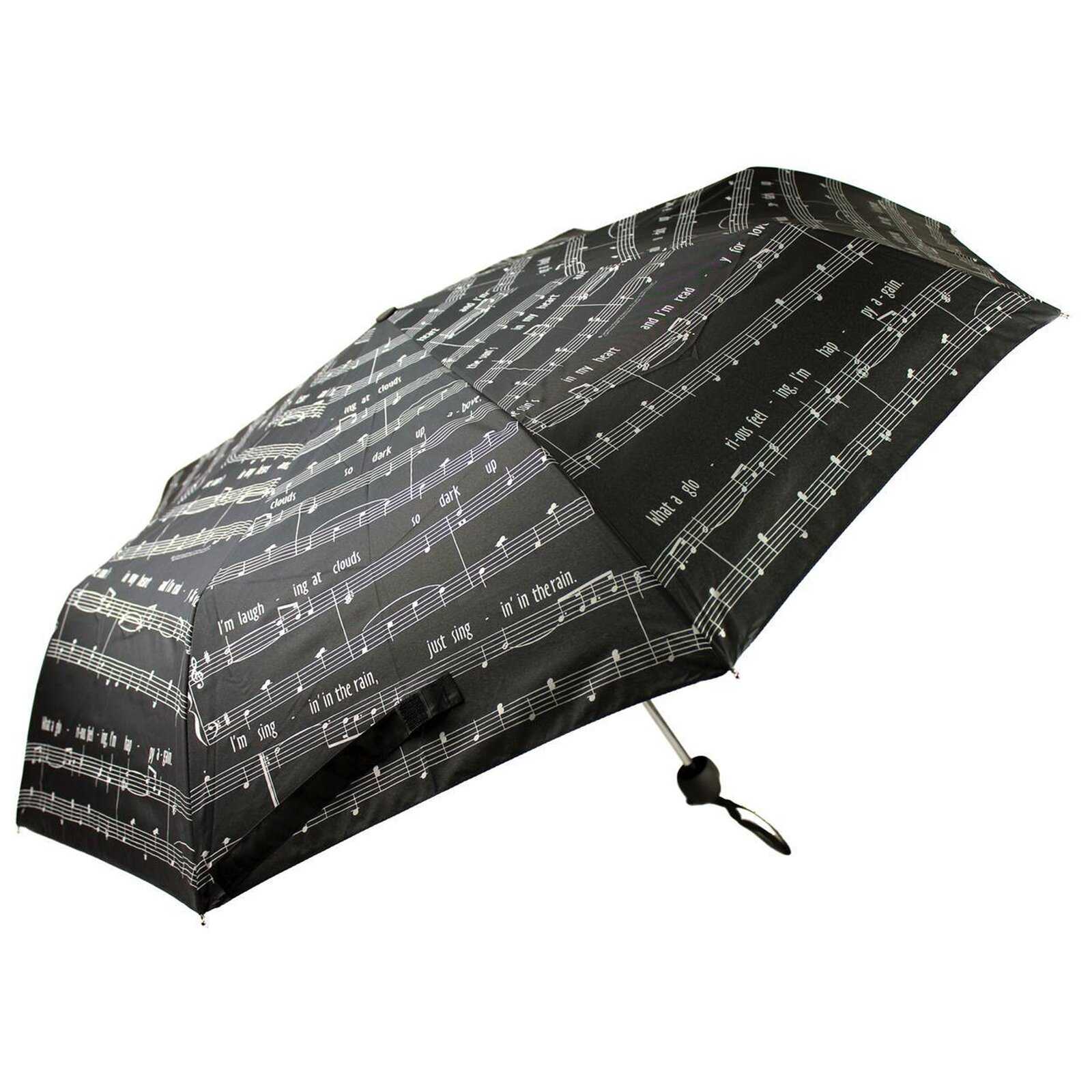 Bild Taschenschirm “I’m singing in the rain“