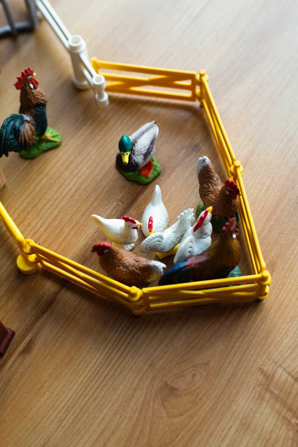 Bild Spiel Blindes Huhn